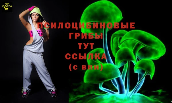 шишки Гусь-Хрустальный