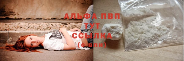 шишки Гусь-Хрустальный