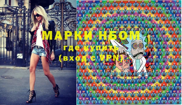 шишки Гусь-Хрустальный