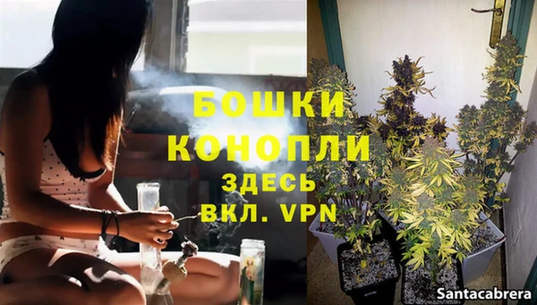 шишки Гусь-Хрустальный