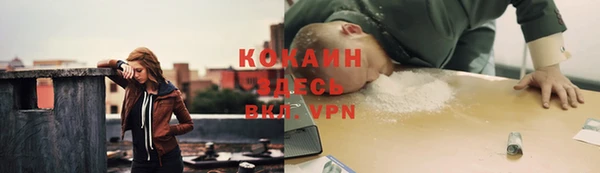шишки Гусь-Хрустальный