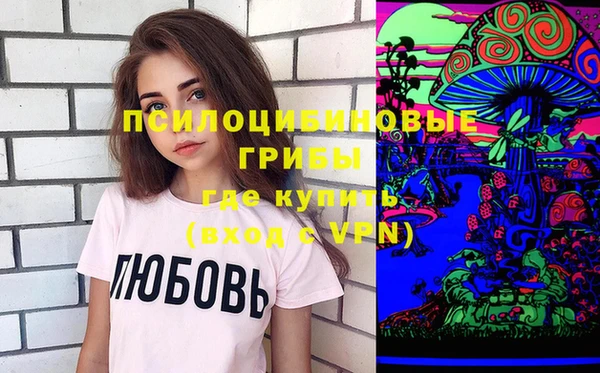 шишки Гусь-Хрустальный
