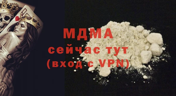 шишки Гусь-Хрустальный