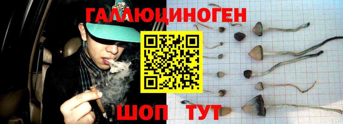 Мценск  Галлюциногенные грибы ЛСД  Вход с VPN 